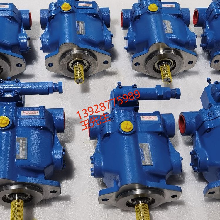 威格士柱塞泵PVH057R01AA10A250000002001AB010A现货  伊顿安全阀CG5V6GWDVMUH711 CG5v8GW0FMUH760 CG5V8GWDMUH711  伊顿安全阀CG5V6GWDVMUH711 CG5v8GW0FMUH760 CG5V8GWDMUH711