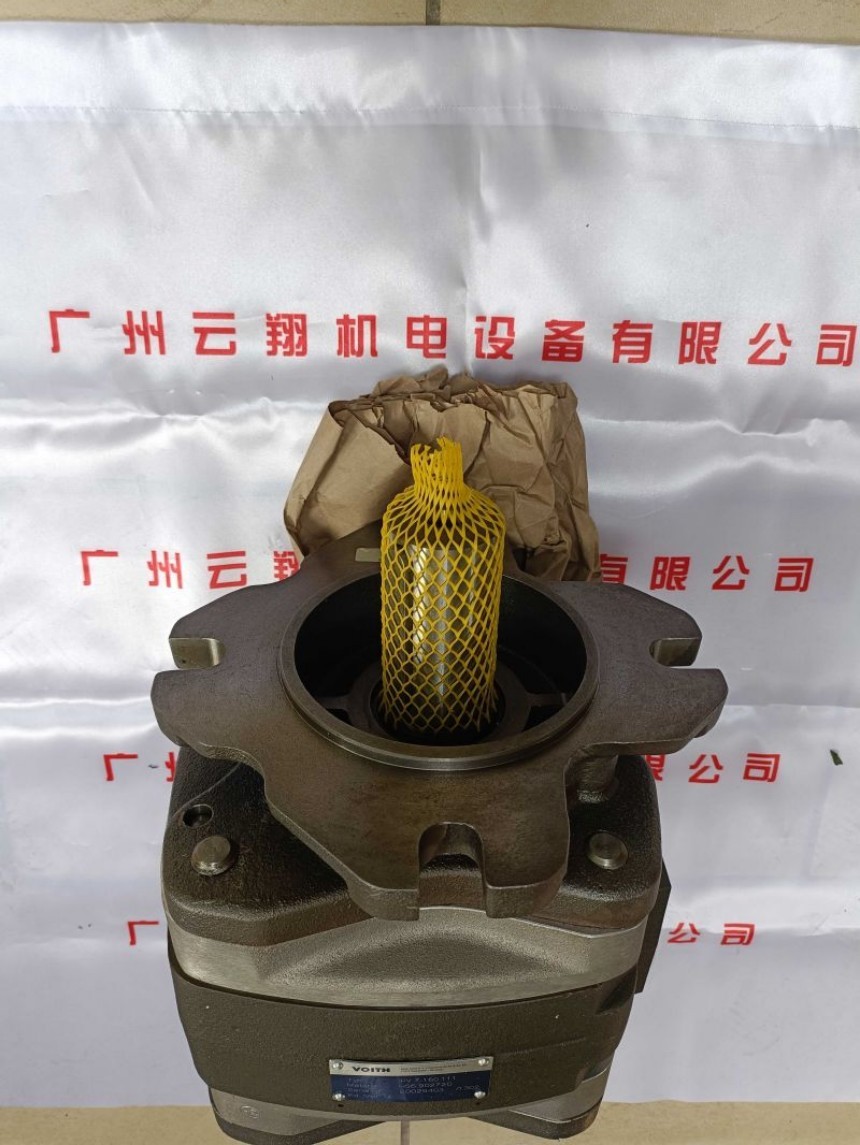 Voith福伊特IPVS6-100-111 Voith福伊特IPVS6-125-101 Voith福伊特IPVS6-125-111
