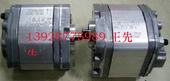 ALP2A-D-13-FG马祖奇齿轮泵，