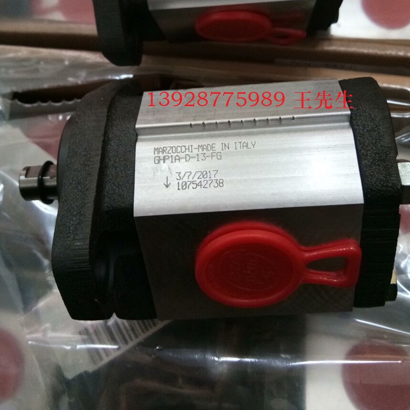 GHP2BK2-D-25 马祖奇齿轮泵