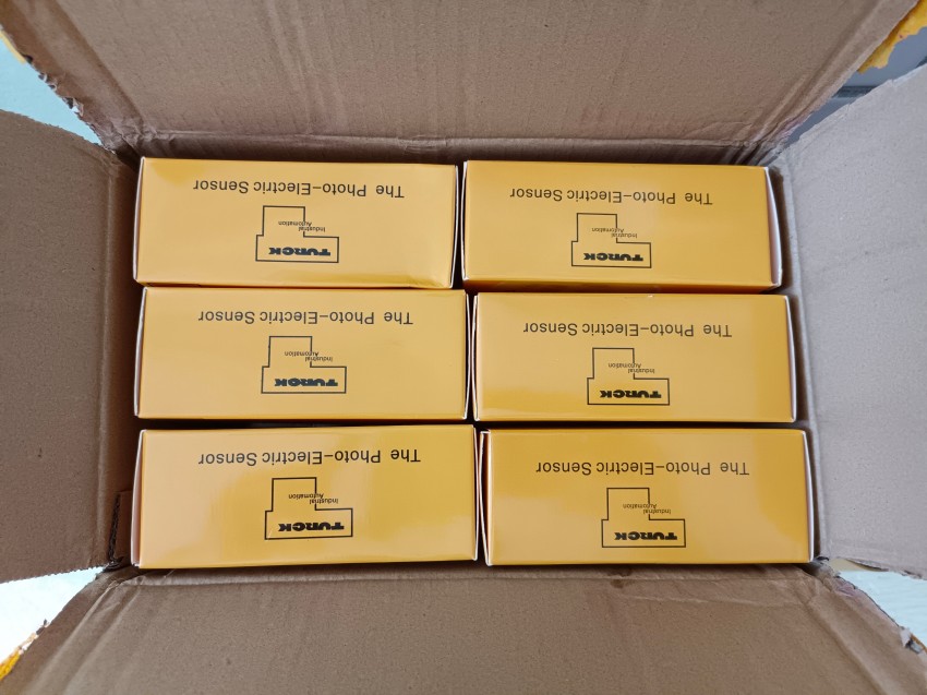 德国原装TURCK图尔克传感器BL20-GW-PBDP-12MB